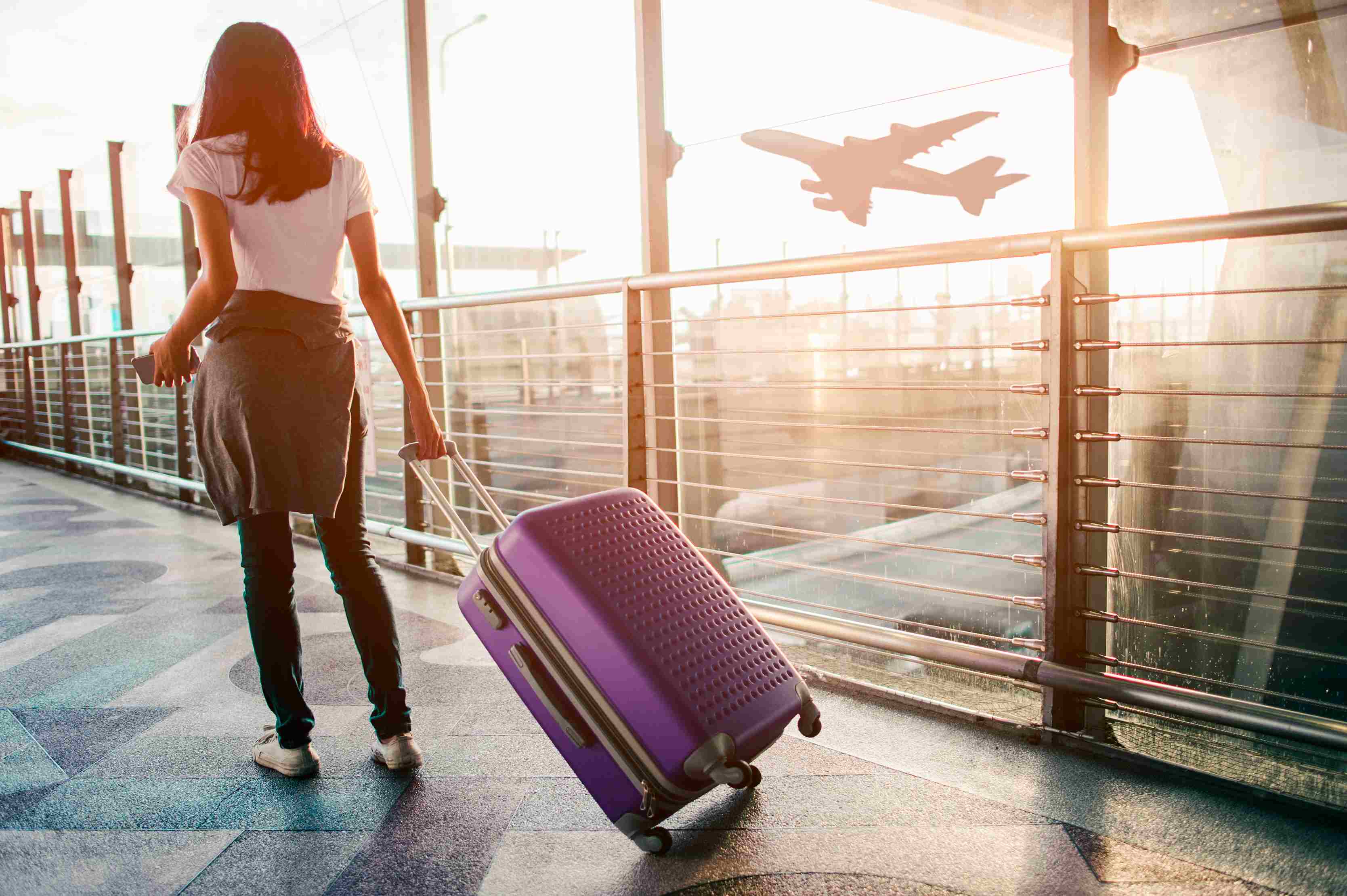 San Francisco International Airport Guide