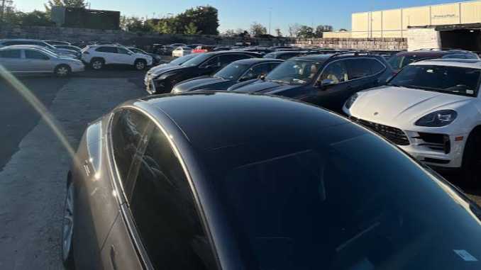 Pacific Cape Liberty Cruise Parking